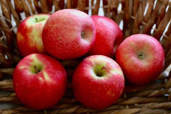 Apple (1 KG) Shimla Special